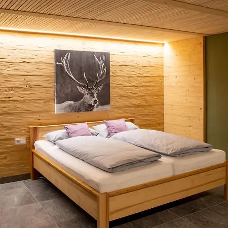 Apartment Alpenloft Mereine *