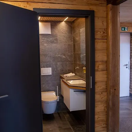 Alpenloft Mereine Apartment *